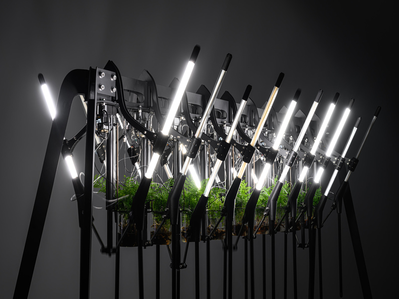 李宸安｜Chen-An Lee