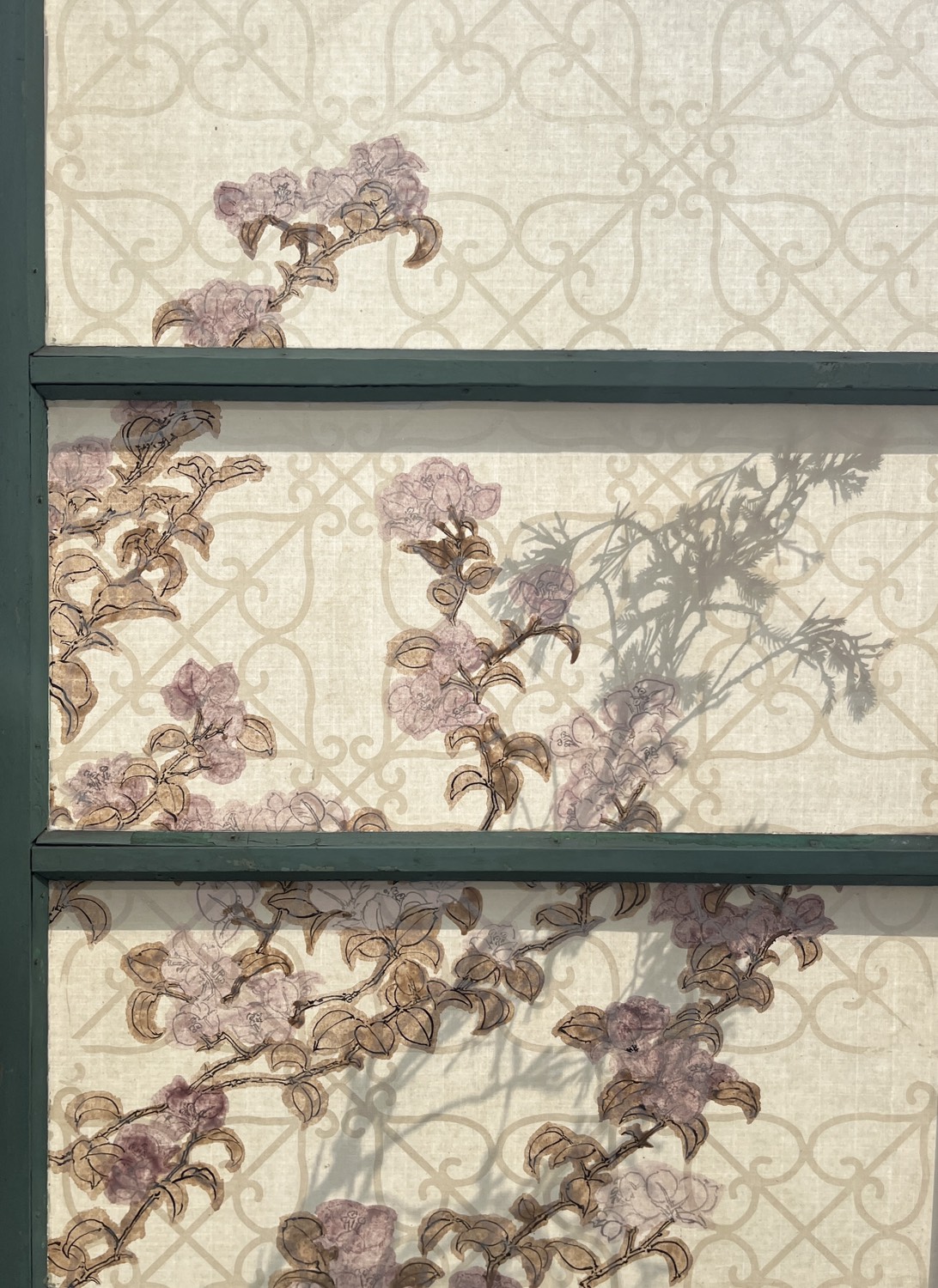 曾芷郁｜chih-yu Tseng